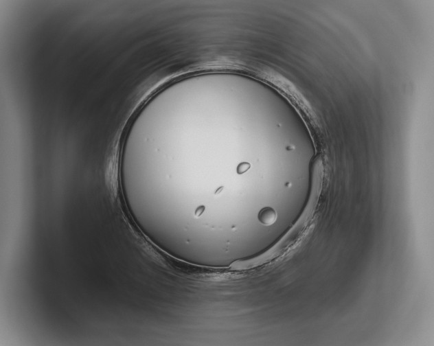 X0000102271228200808081434