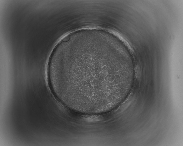 X0000102271229200808081434
