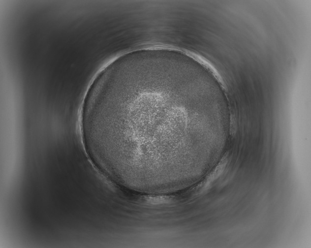 X0000102271231200808081434