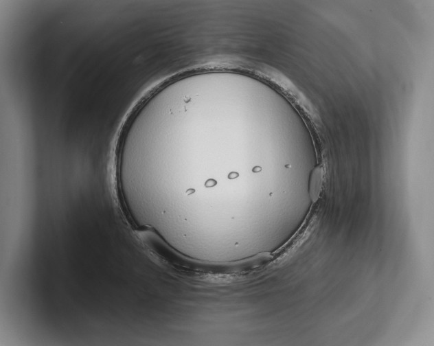X0000102271232200808081434