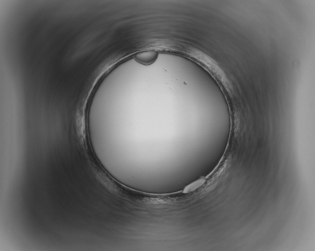 X0000102271234200808081434