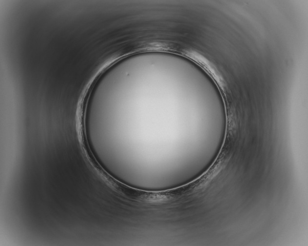 X0000102271235200808081434