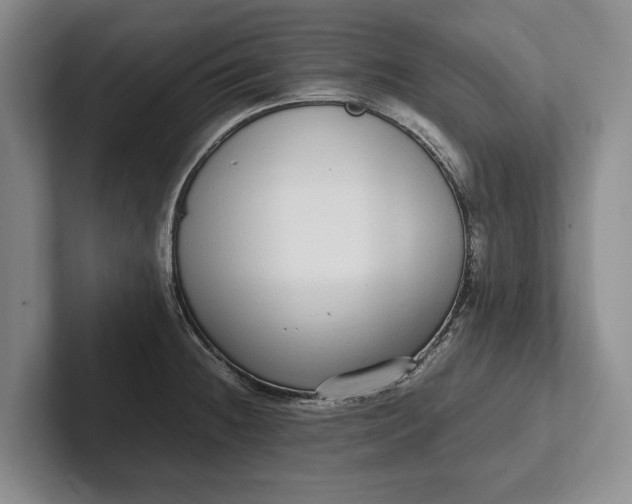 X0000102271236200808081434