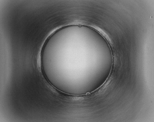 X0000102271238200808081434