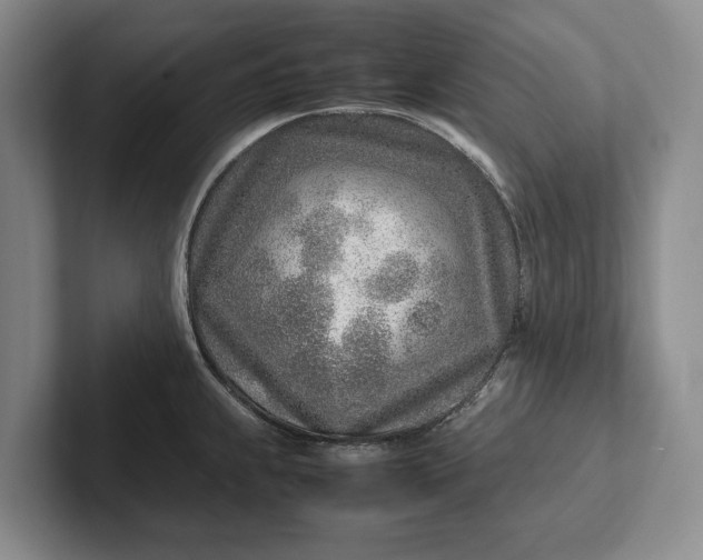 X0000102271239200808081434