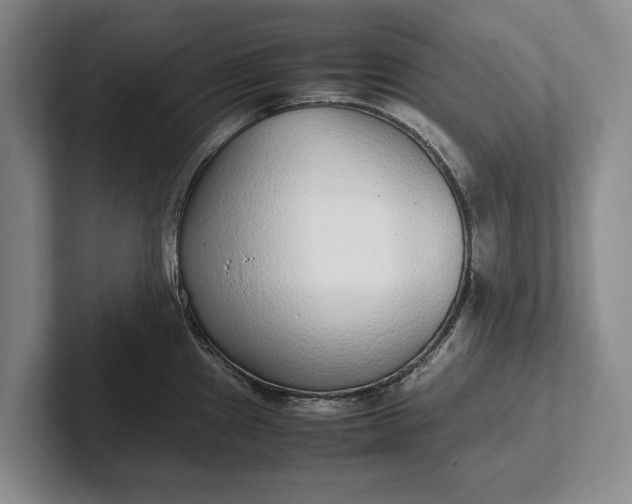 X0000102271241200808081434