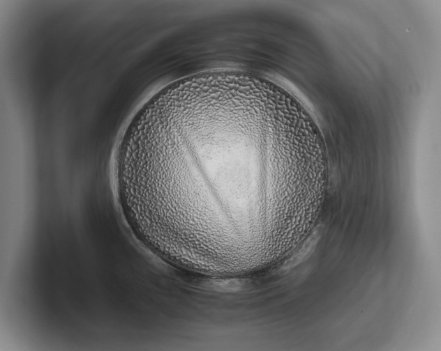 X0000102271243200808081434