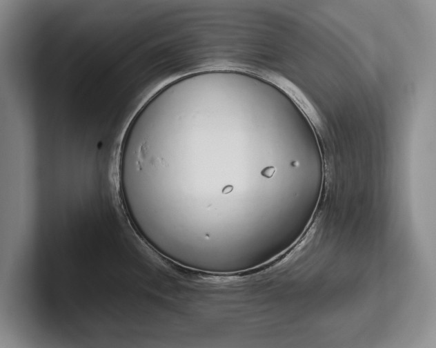 X0000102271244200808081434