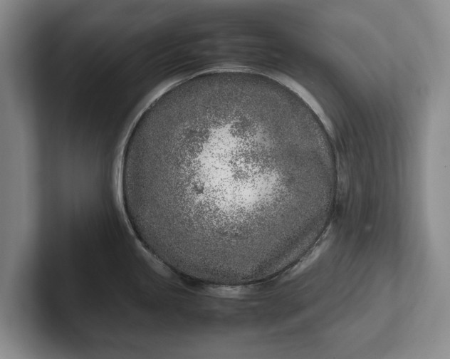 X0000102271245200808081434