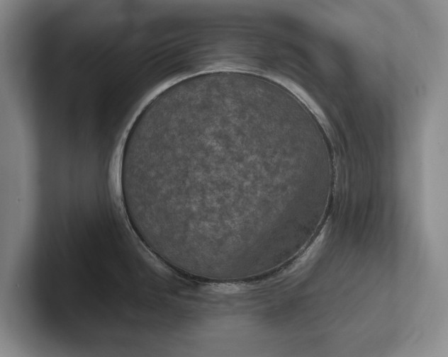 X0000102271246200808081434