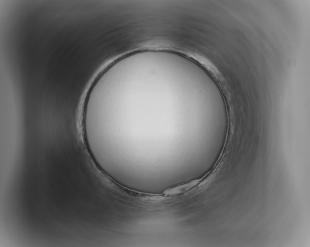 X0000102271248200808081434