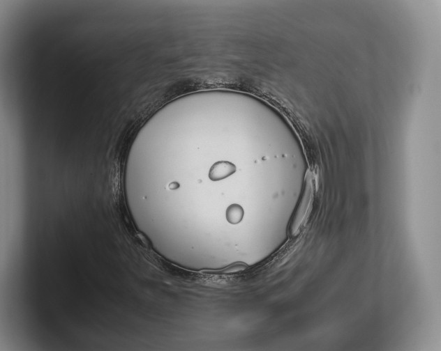 X0000102271251200808081433