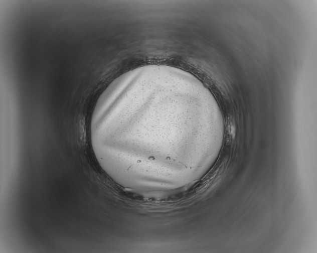 X0000102271252200808081433