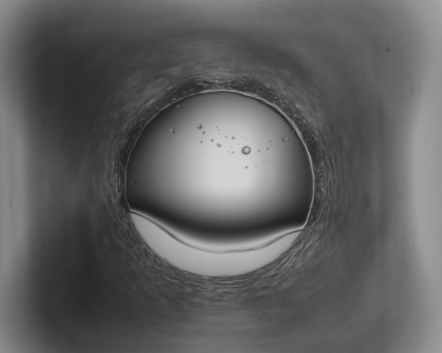 X0000102271253200808081433