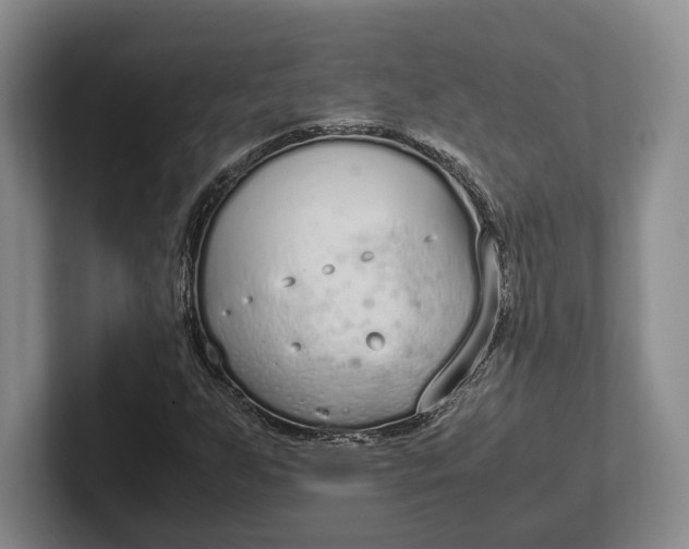 X0000102271255200808081433