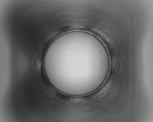 X0000102271257200808081433