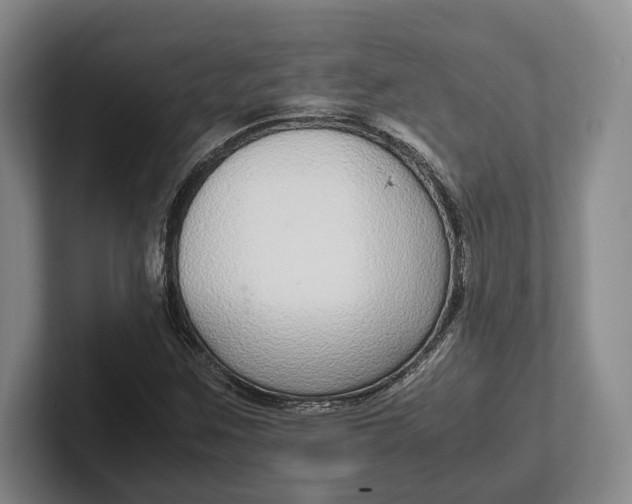 X0000102271259200808081433