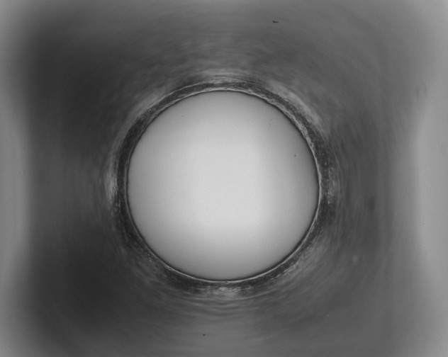 X0000102271261200808081433