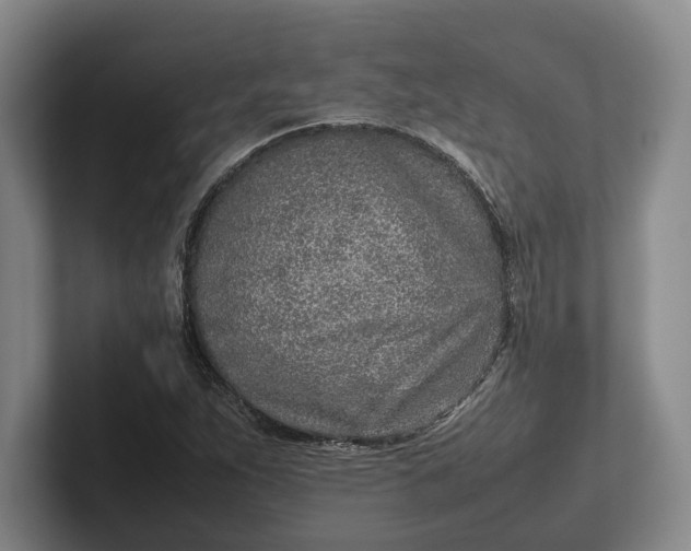 X0000102271263200808081433