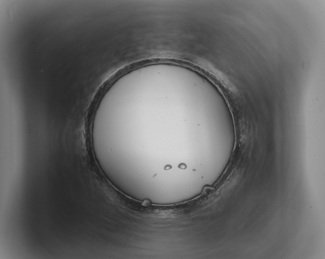 X0000102271264200808081433