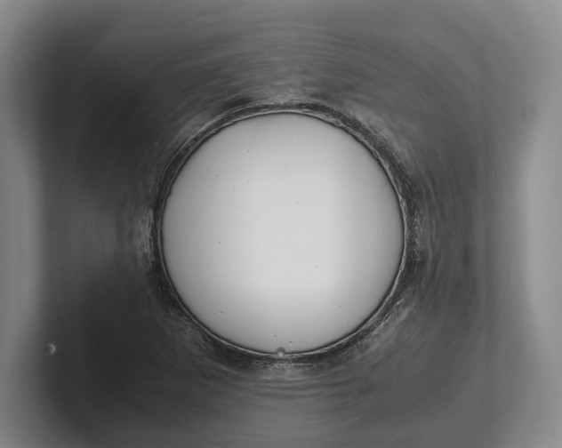 X0000102271265200808081433