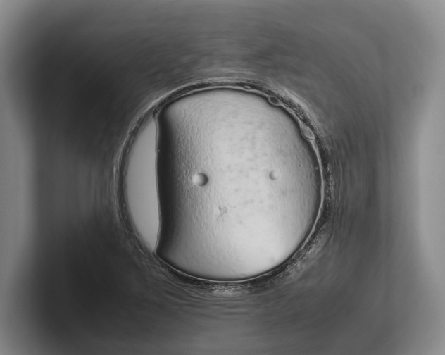 X0000102271267200808081433