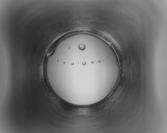 X0000102271268200808081433