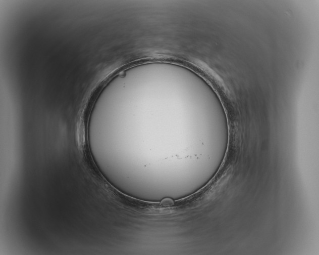 X0000102271269200808081433