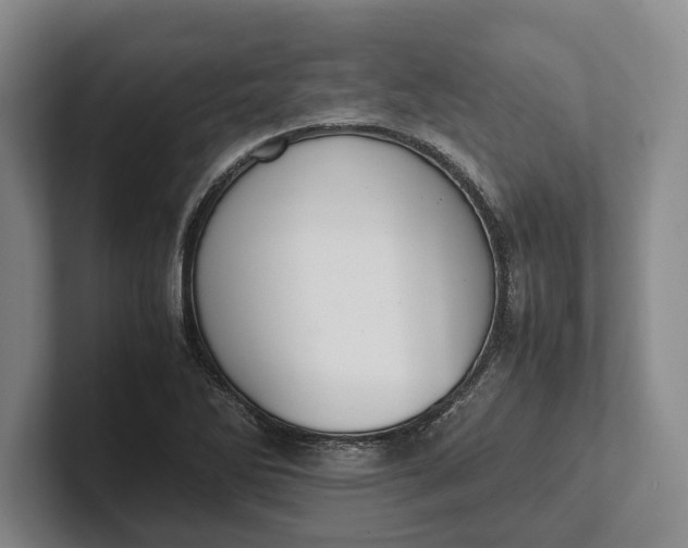 X0000102271270200808081433