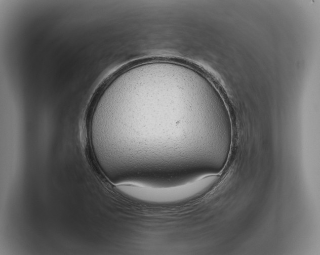 X0000102271271200808081433