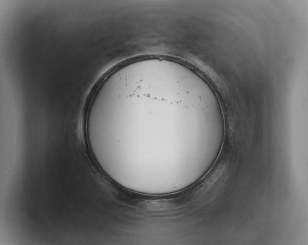 X0000102271272200808081433