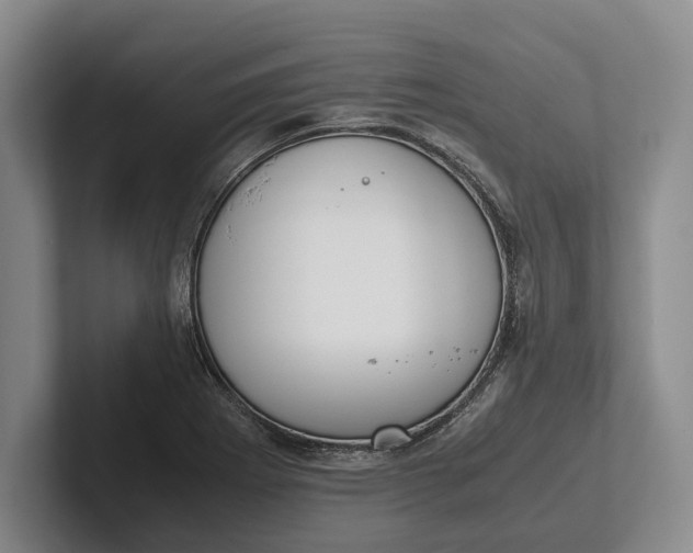 X0000102271273200808081433