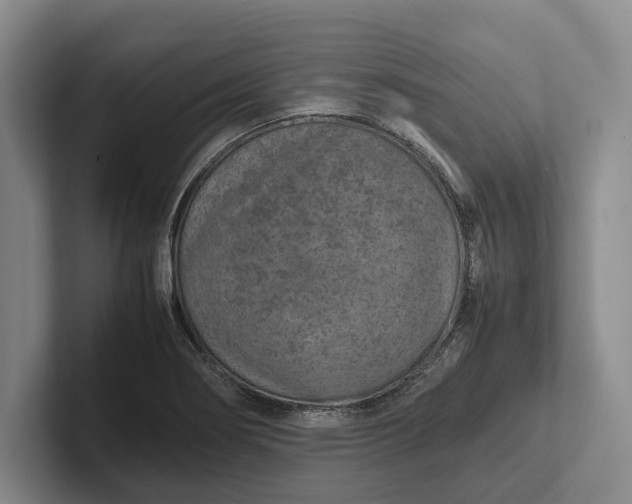 X0000102271274200808081433