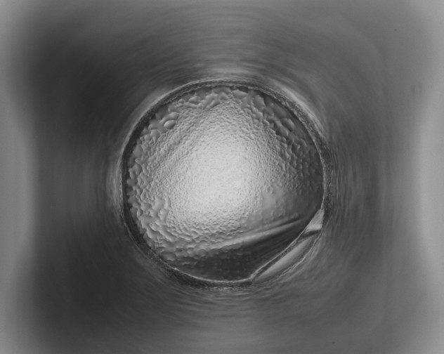 X0000102271275200808081433