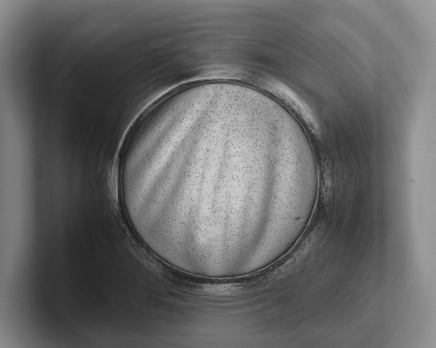 X0000102271276200808081433