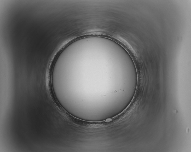 X0000102271277200808081433