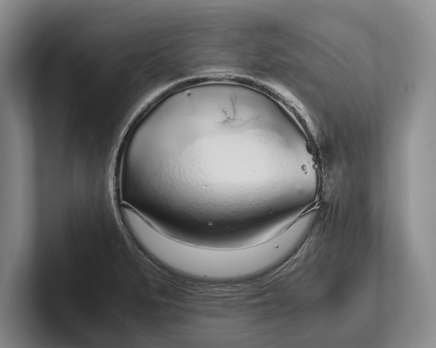 X0000102271279200808081433