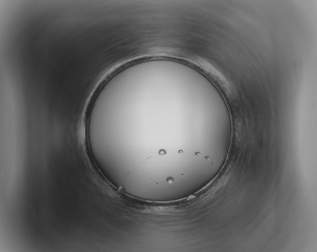X0000102271280200808081433