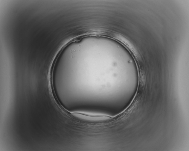 X0000102271283200808081433