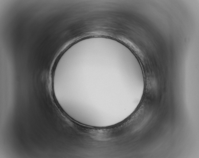 X0000102271286200808081433