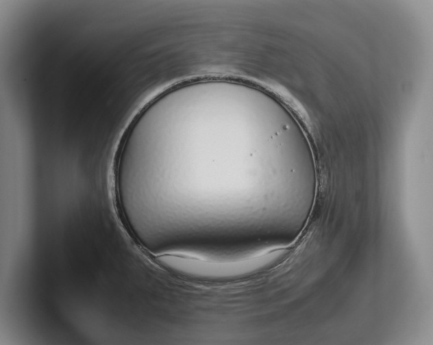 X0000102271287200808081433