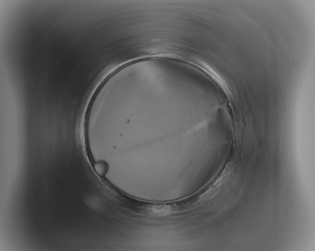 X0000102271291200808081433