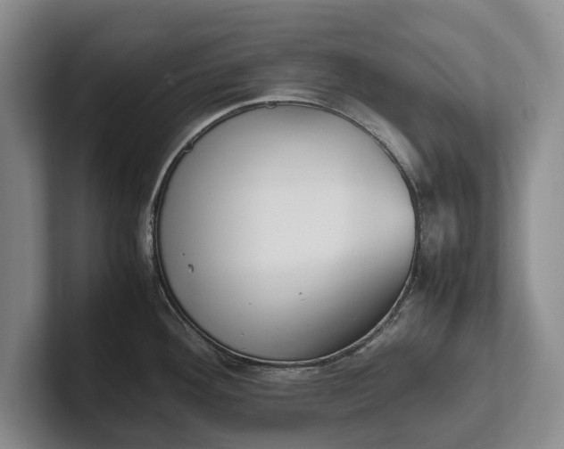 X0000102271292200808081433