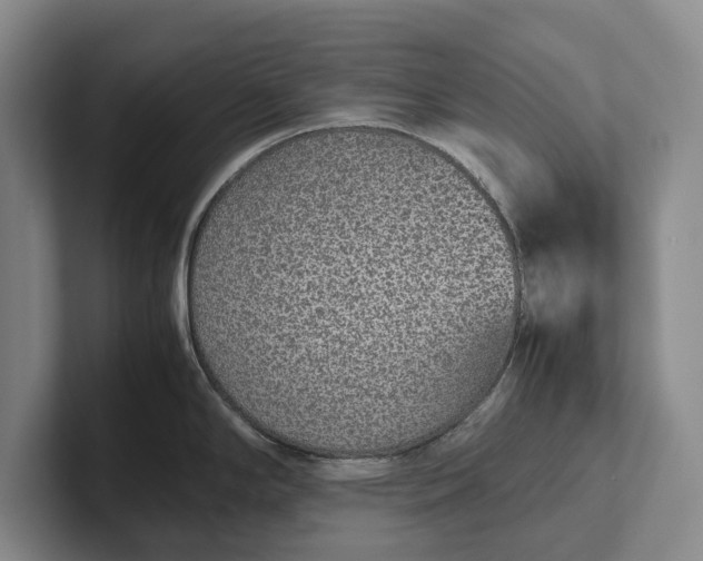 X0000102271294200808081433