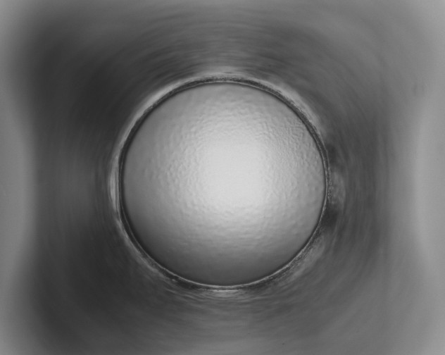 X0000102271295200808081433