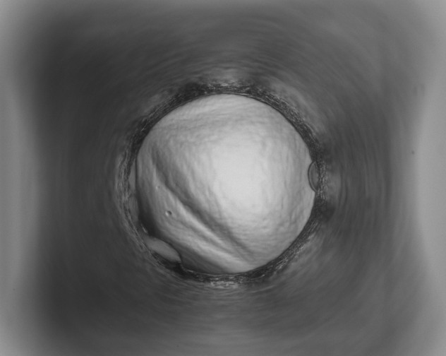 X0000102271297200808081432