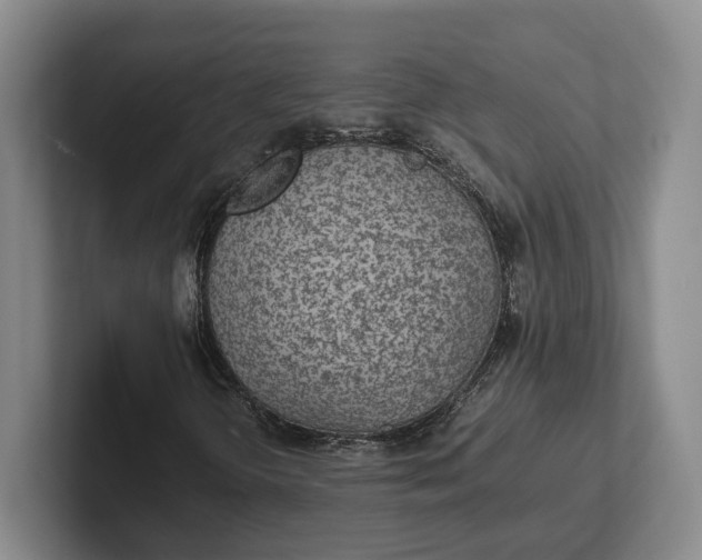 X0000102271298200808081432