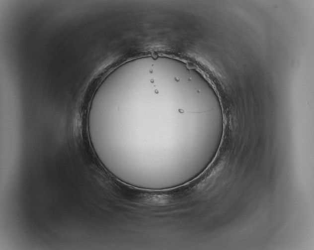 X0000102271309200808081432