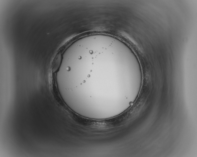 X0000102271315200808081432