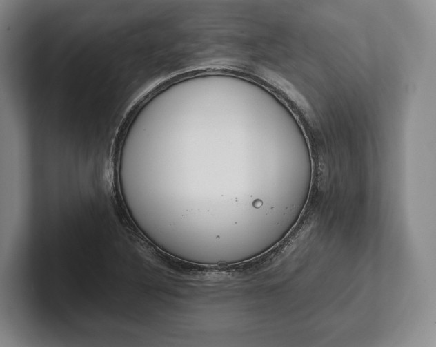 X0000102271316200808081432